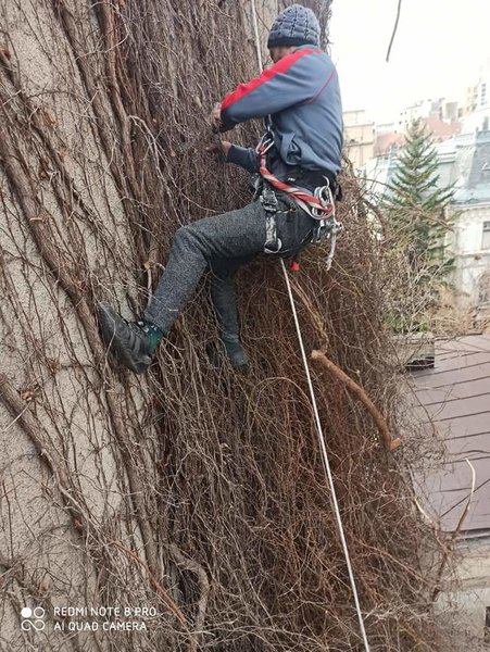 Alpinisti Utilitari